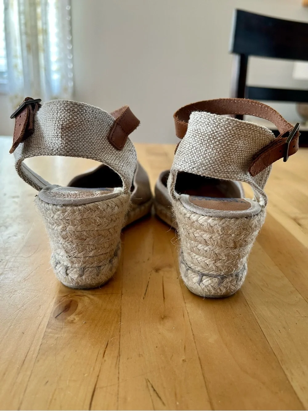 Verbenas brand born